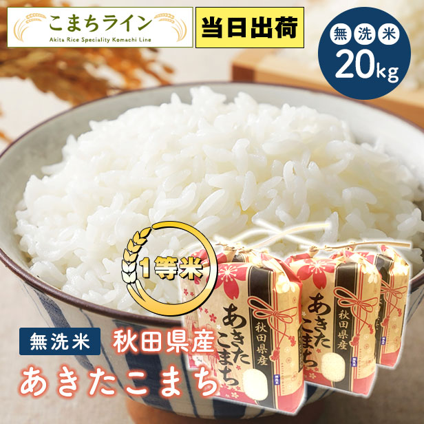 【無洗米20kg】秋田県産　あきたこまち20kg 5kg×4袋　令和4年産　一等米　厳選されたおいしいお米　米びつ当番【天鷹唐辛子】プレゼント付き　 贈り物