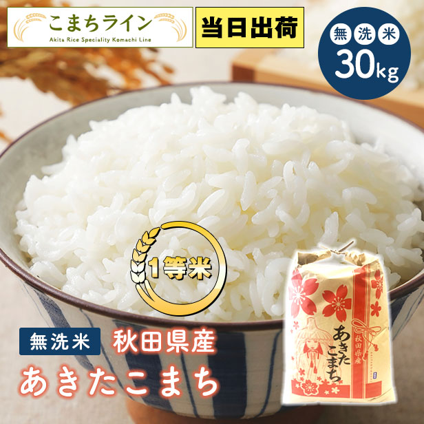 青森県産あきたこまち 玄米 30kg 2022年 産地直送 秋田小町 30キロ - 米